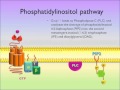 G protein coupled receptors gpcr  picscience