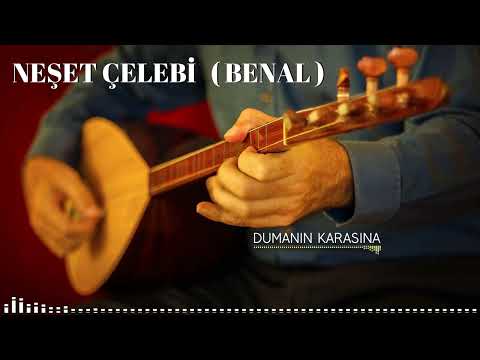 Neşet Çelebi (