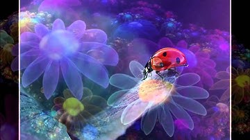 ACIM Lesson 1 Nothing I see means anything.
