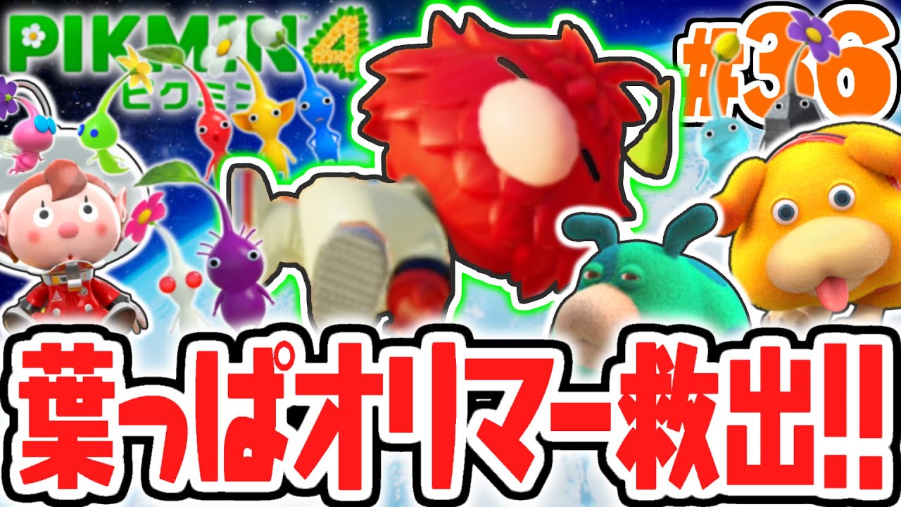 超難関ダンドリバトルで葉っぱ人オリマーを救出!!チリョウするために夜の探索へ!!最速実況Part36【ピクミン4】