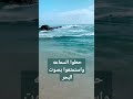 صوت البحر استرخاء صوت البحر الصيف صوت البحر استرخاء صوت البحر الصيف