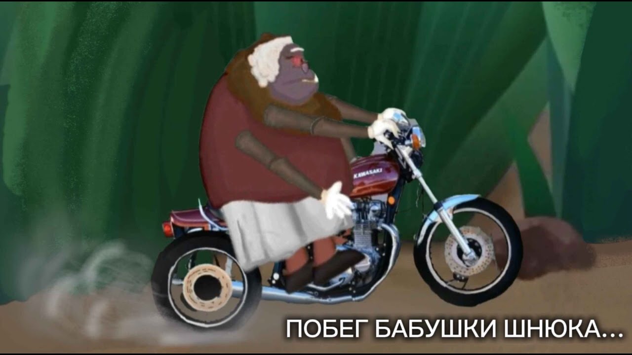 Бабушка шнюка