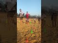 All type physical training and preparation for odishapolice🚨forestgaurd💯indianarmy addmission open👐