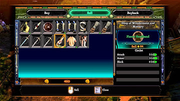 Dungeon Siege 3 in PlayOnLinux