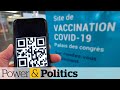 You Must Now Have A Vaccine Passport If You Want To Buy Liquor Or Cannabis In Quebec