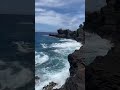 Watching the waves crash over the rocks. #hawaii #beachlife #halonablowhole #shorts