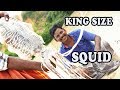 GIANT SQUID 65 BIRYANI | பிரமாண்டமான கனவா 65 பிரியாணி