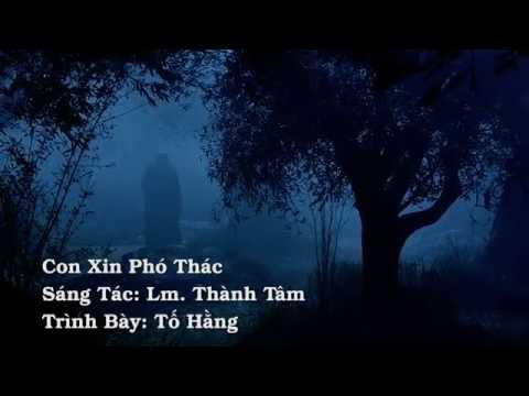 Thánh Ca: Con