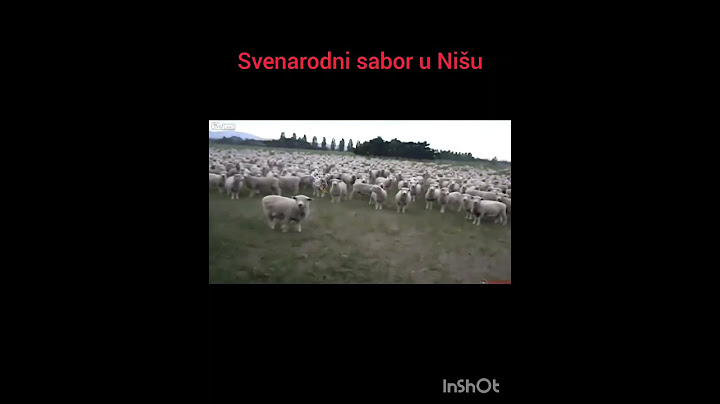 Vučićev miting u Nišu
