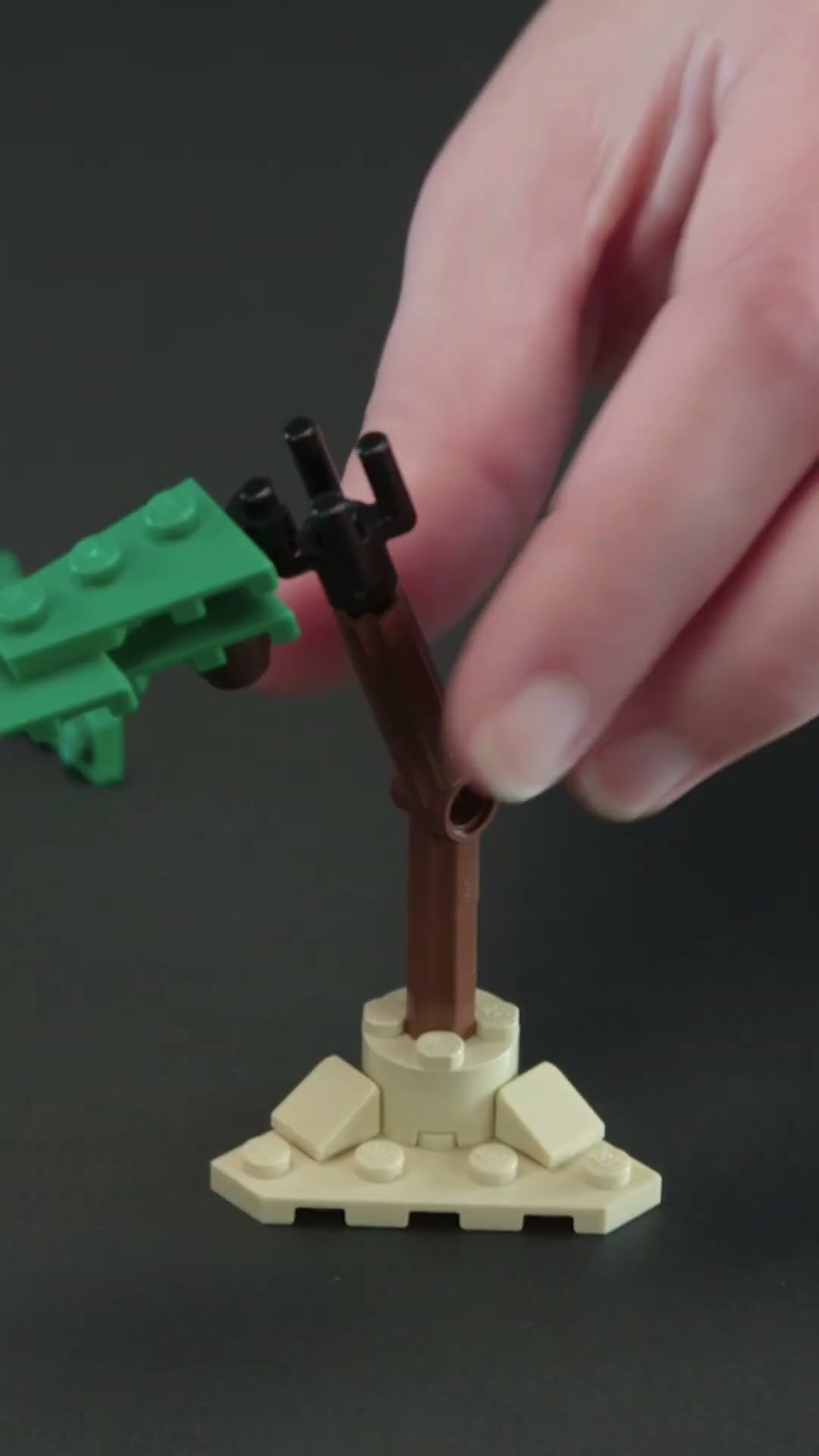 How to build a palm tree | LEGO CREATOR #Shorts