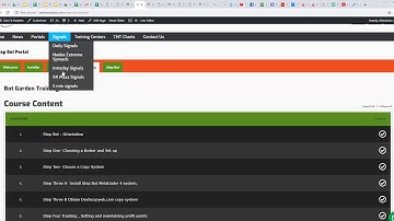 Dex Fx Markets Step Bot Set up Consult