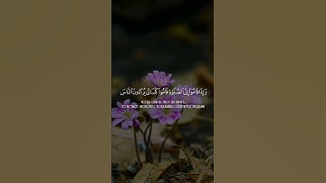 تلاوه خاشعه [ سورة النساء ]