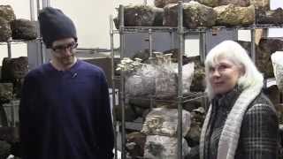 Explore the World of Exotic Edible Mushrooms at Magnificent Mushrooms