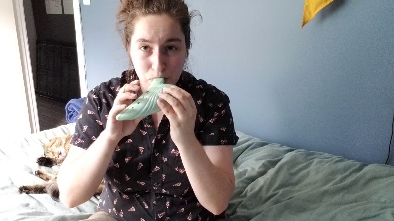 Hedwig's Theme Ocarina harry potter theme hedwigs theme 12 hole