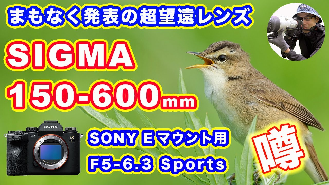 【まもなく発表】SIGMA150-600mm F5-6.3の噂【SONY Eマウント用超望遠レンズ】#野鳥撮影