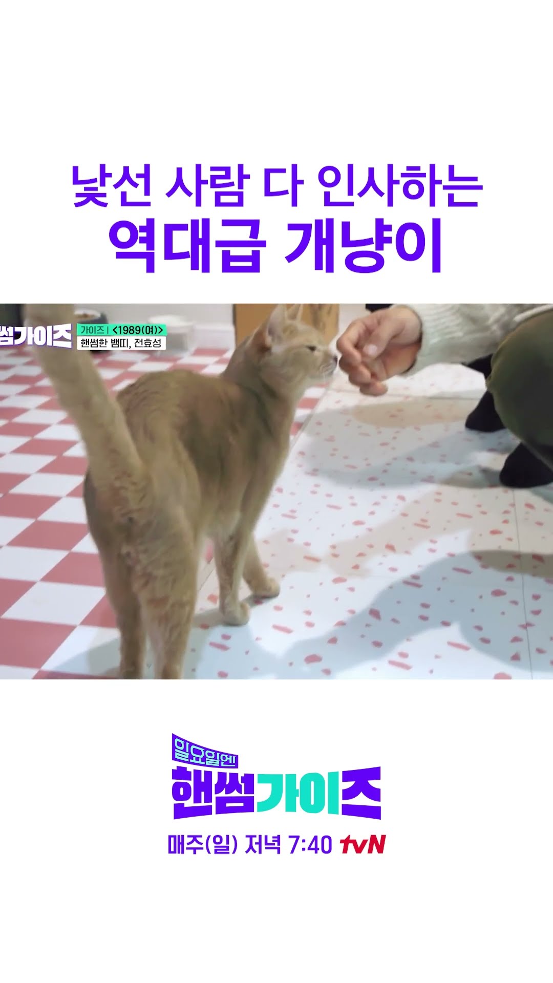 A cat with fatal cuteness #HandsomeGuysOnSunday