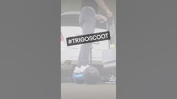 Hoverboards: Segway Attachment - Self-balancing scooter - Extension.