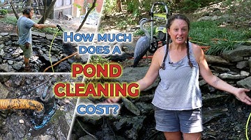 How Much Does It Cost To Get My Pond Cleaned?
