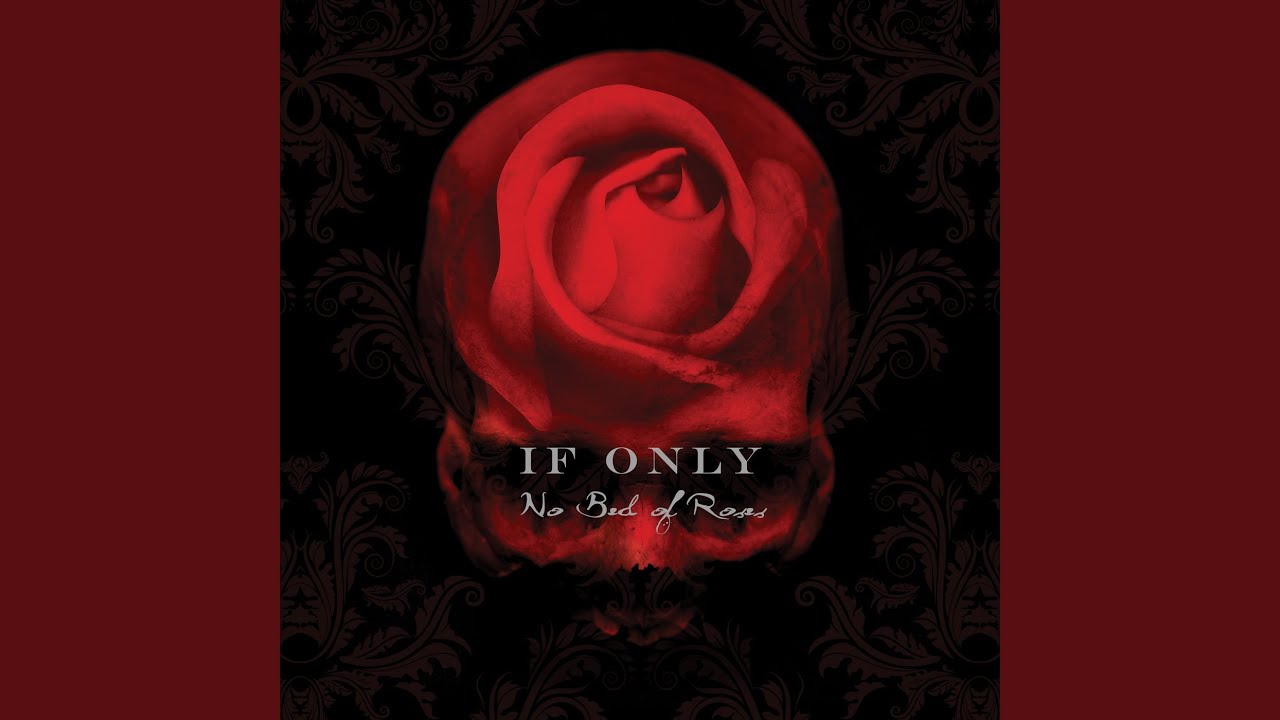 No Bed of Roses YouTube