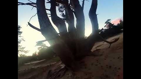 Insta360 Go on Tinyhawk Freestyle 2 // Jello issue solved