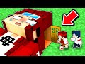 最強お母さんの体内に入って命を助けろ!【マイクラ/マインクラフト】