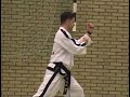 Таэквон-до Тули Техника выполнения Taekwon-do ITF  09choongmoo