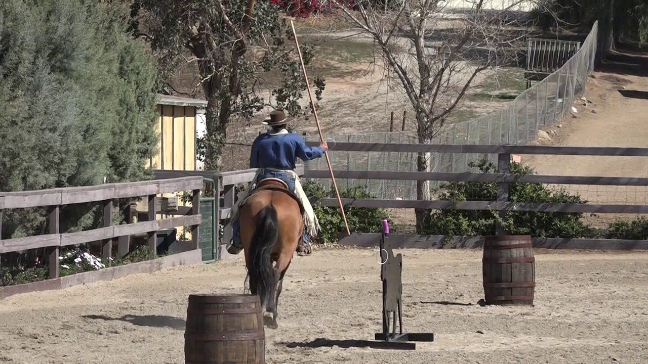 Watch Melissa Harrington video Watch Melissa Harrington video