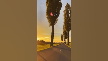 (وَمَا أَهْلَكْنَا مِن قَرْيَةٍ إِلَّا وَلَهَا كِتَابٌ مَّعْلُومٌ) القارئ : هزاع البلوشي