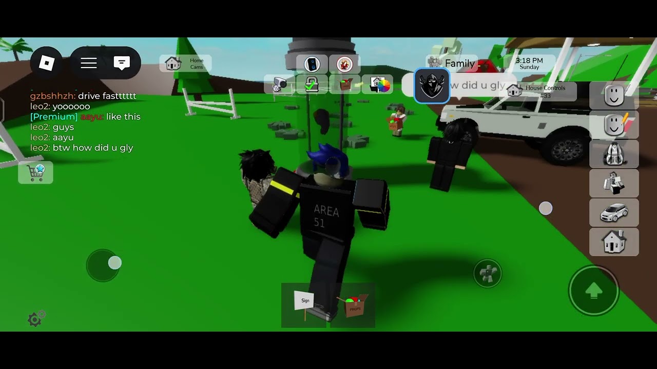 Explaining what is area 51 rp in Brookhaven rp