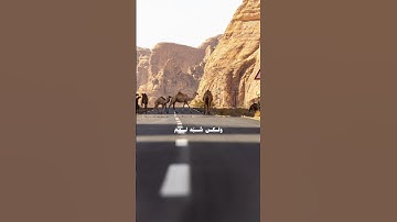 سورة النساء، الآية 156.