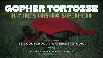 Gopher Tortoise: Nature’s Unsung Superheroes