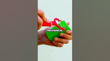 Ada Lovelace: The Woman Who Programmed Before Computers Existed!