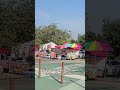 Is LA's Zoo Worth the hype? 🤔