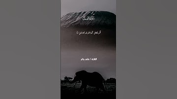 سورة الفيل - الشيخ / علي جابر #quran #القرآن_الكريم