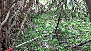 Just sit still, the fish will come and attack the angler #SG-476