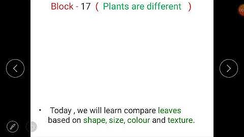 Class 1(E.V.S)- Lesson 3(Different kinds of Leaves) of block 17(Plants are Different).
