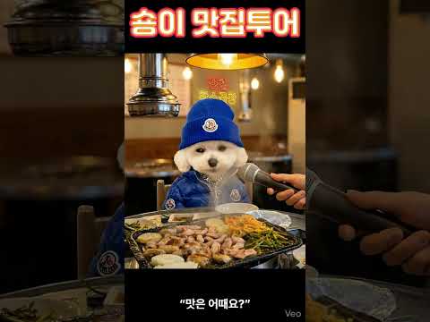"웨이팅은 기본 알곱창 먹고 싶으면오픈런 각이에요”#풍자또간집#곱창맛집#영통맛집#수원맛