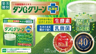 【本物青汁】タンGグリーン＋乳酸菌 【酵素】