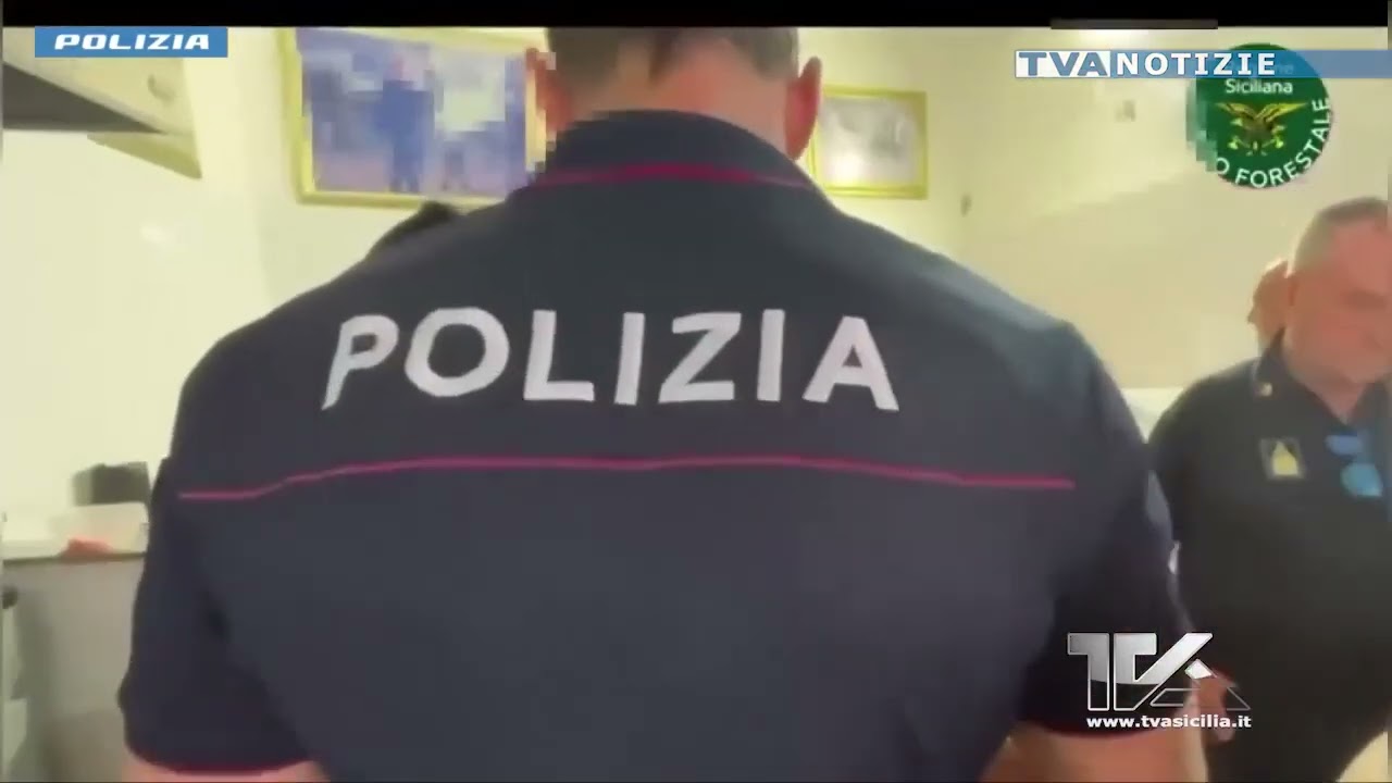 Catania. Chiusa macelleria-gastronomia in via Plebiscito. Carne con muffa e locale con blatte