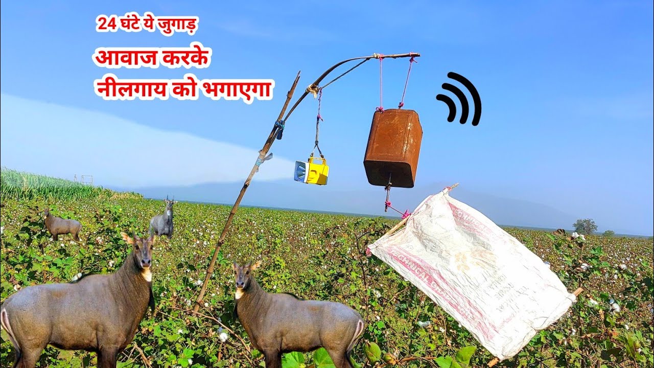 यह जुगाड़ आवाज भी करेगा और रात में खेतों में लाइट भी करेगा | Dual use solution for Crops | Jugaad ||