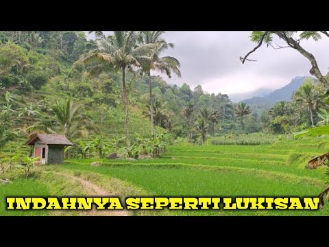 Mantap..indah banget alam Desanya Serasa di pedesaan Jawa barat,hidup di desa,suasana desa