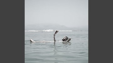 Background for Deep Conditioning