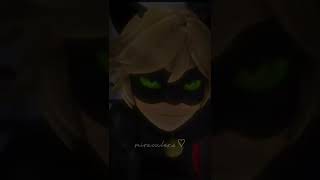 Miraculous Chat Noir Edit Mucize Uğur Böceği İle Kara Kedi