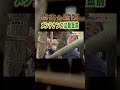 【DIY】自前でツリーハウスを補修する!リニューアルに密着! #ツリーハウス #樹【おとなの秘密基地】
