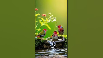 سوره نور آیه 28 در ترجمه اردو قرآن