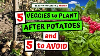 5 Veggies to Plant After Harvesting Potatoes PLUS 5 to Avoid! (inc. How to Replenish your Soil) #124
