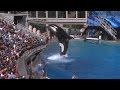 Famous SeaWorld orca Tilikum dies