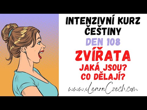 Video: Jaké čtyři klíčové vlastnosti sdílejí všechna zvířata?