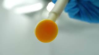 CHG Skin Prep Swab Applicator | 2% CHG + 70% IPA | One-Handed Antiseptic for Preoperative Skin Prep