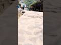 Yatra Shri Hemkund Sahib 2024 (Part 15) #hemkundsahibyatra2024 #hemkund #hemkunt #vlog #travel
